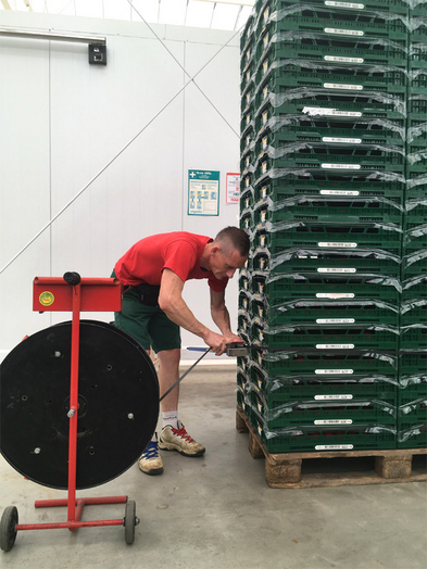 Die versandfertigen Paletten