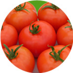 Barther Tomaten