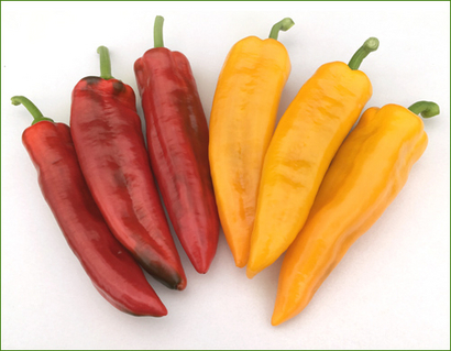 Barther Spitzpaprika 