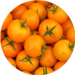 Barther Cherrytomaten