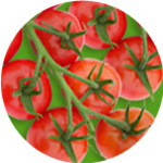 Barther Cocktailtomaten